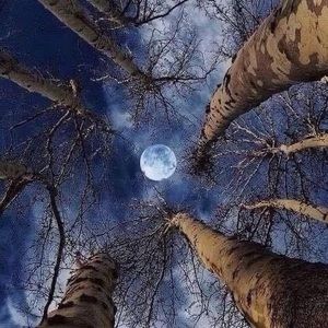 Meet your Posher, Gayle